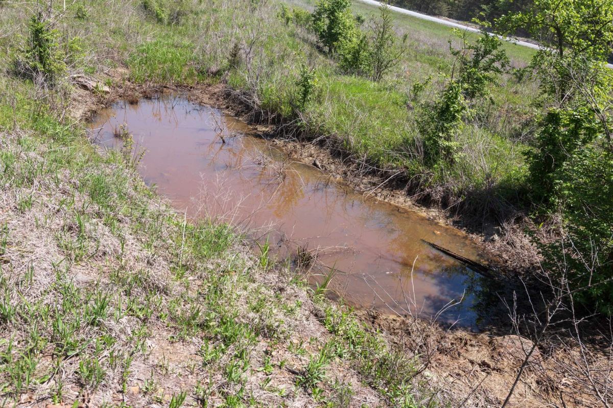 Allie’s Acres Tract 2 - Image 2