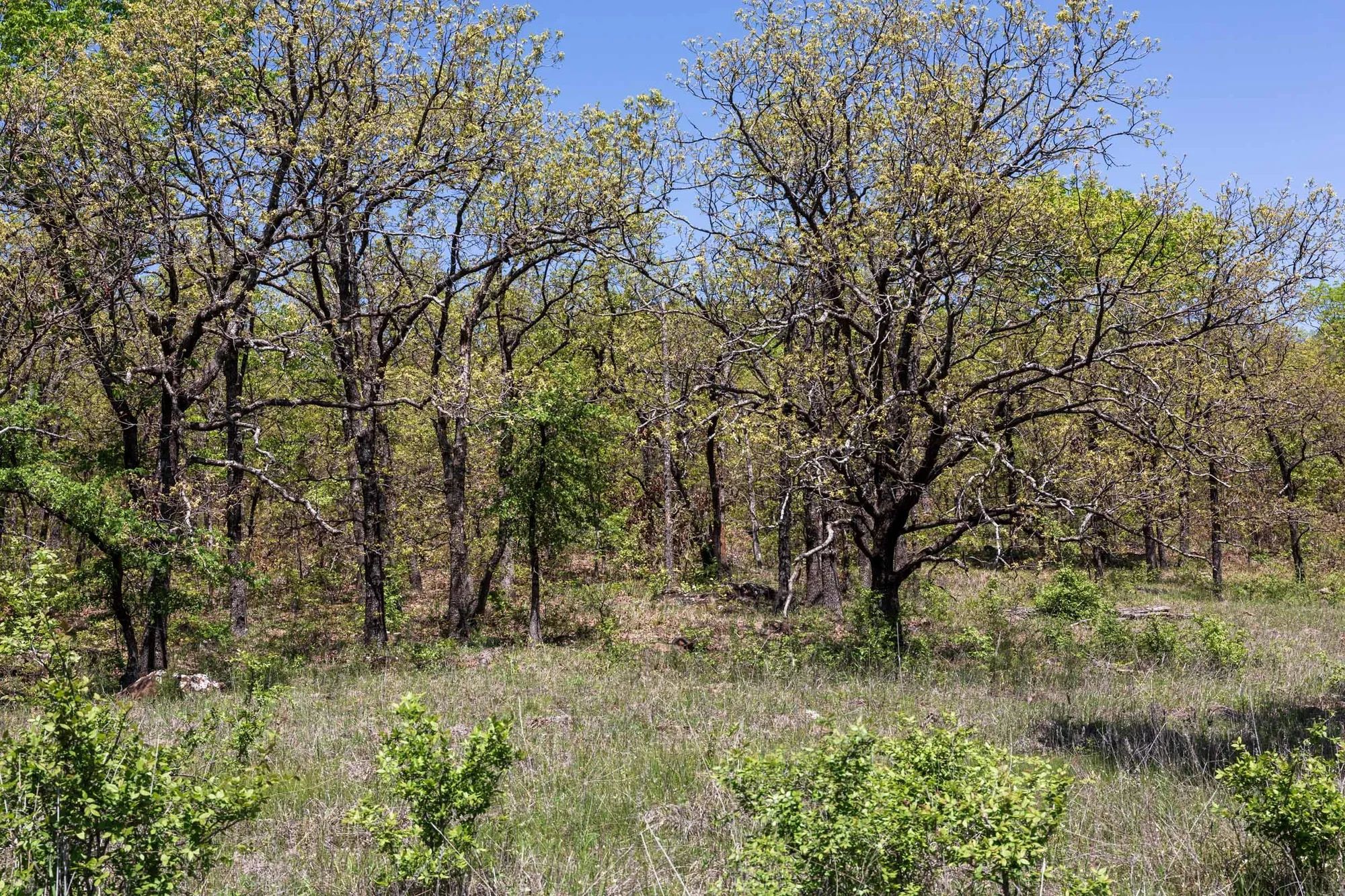 Allie’s Acres Tract 2 in Pittsburg County, OK
