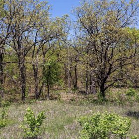 Allie’s Acres Tract 2 in Pittsburg County, OK