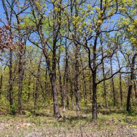 Allie’s Acres Tract 2 in Pittsburg County, OK