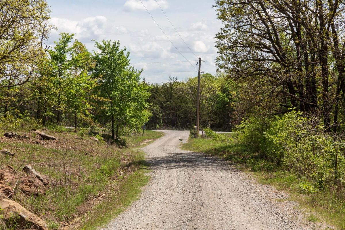 Decorative background for Allie’s Acres Tract 2 image 9