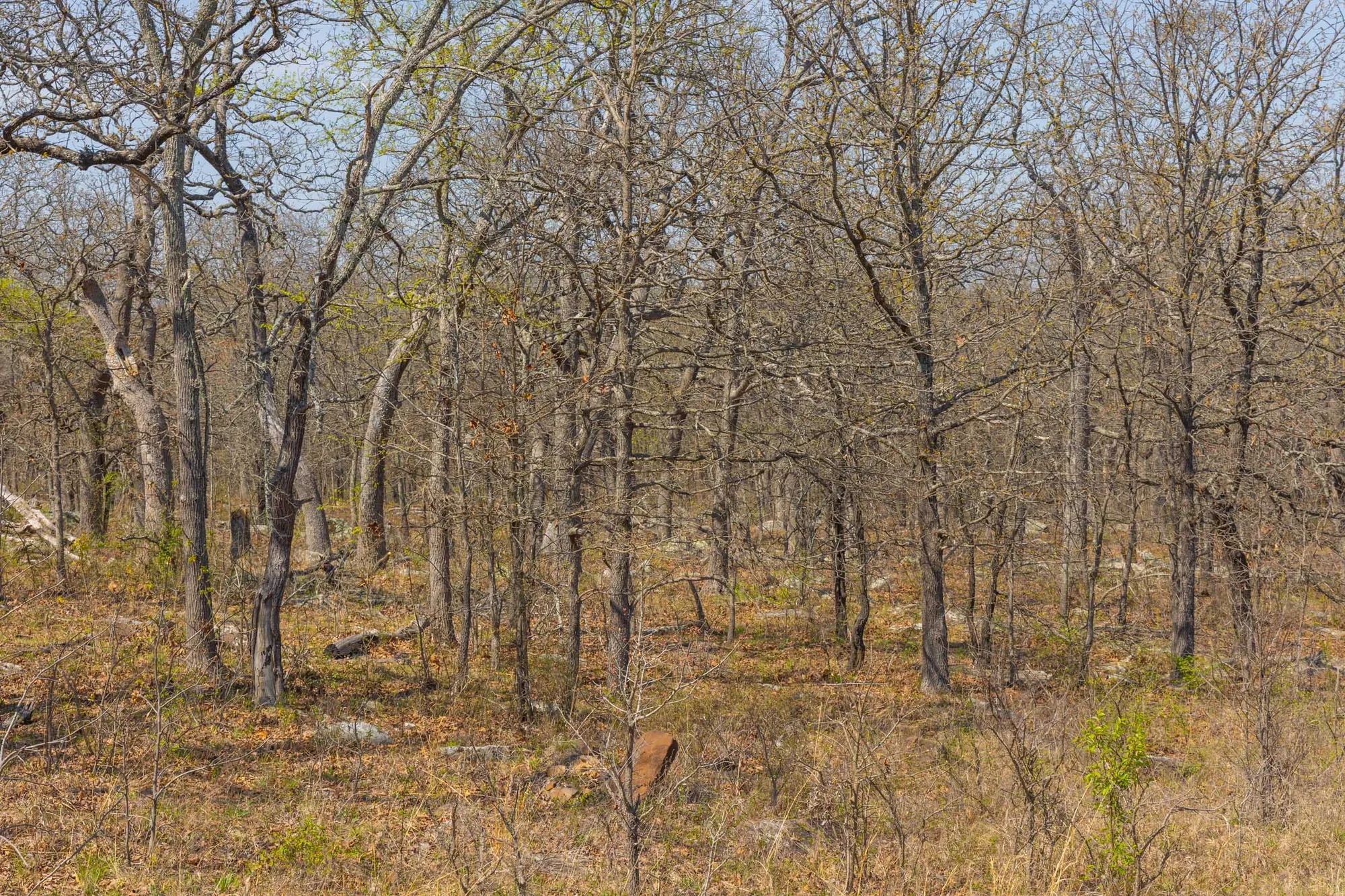 JLH Estates Tract 6 in Okfuskee County, OK