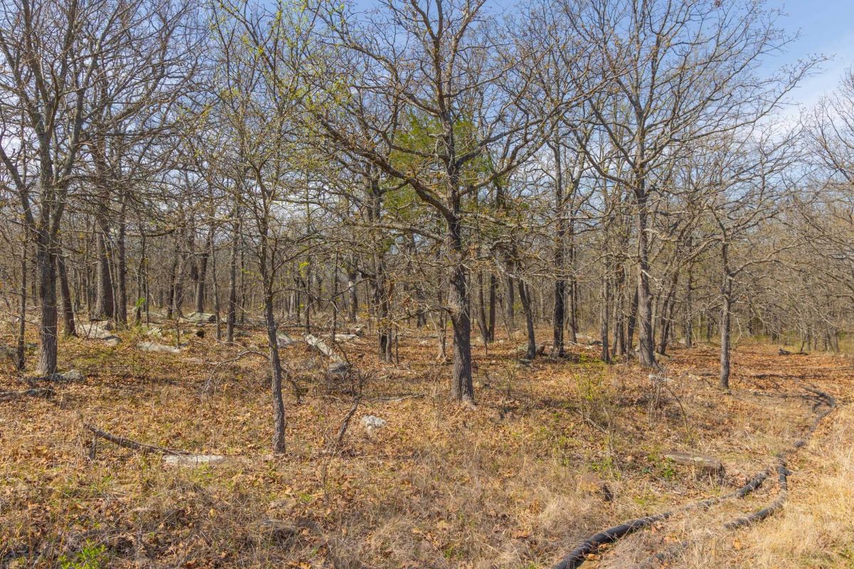 Decorative background for JLH Estates Tract 6 image 7