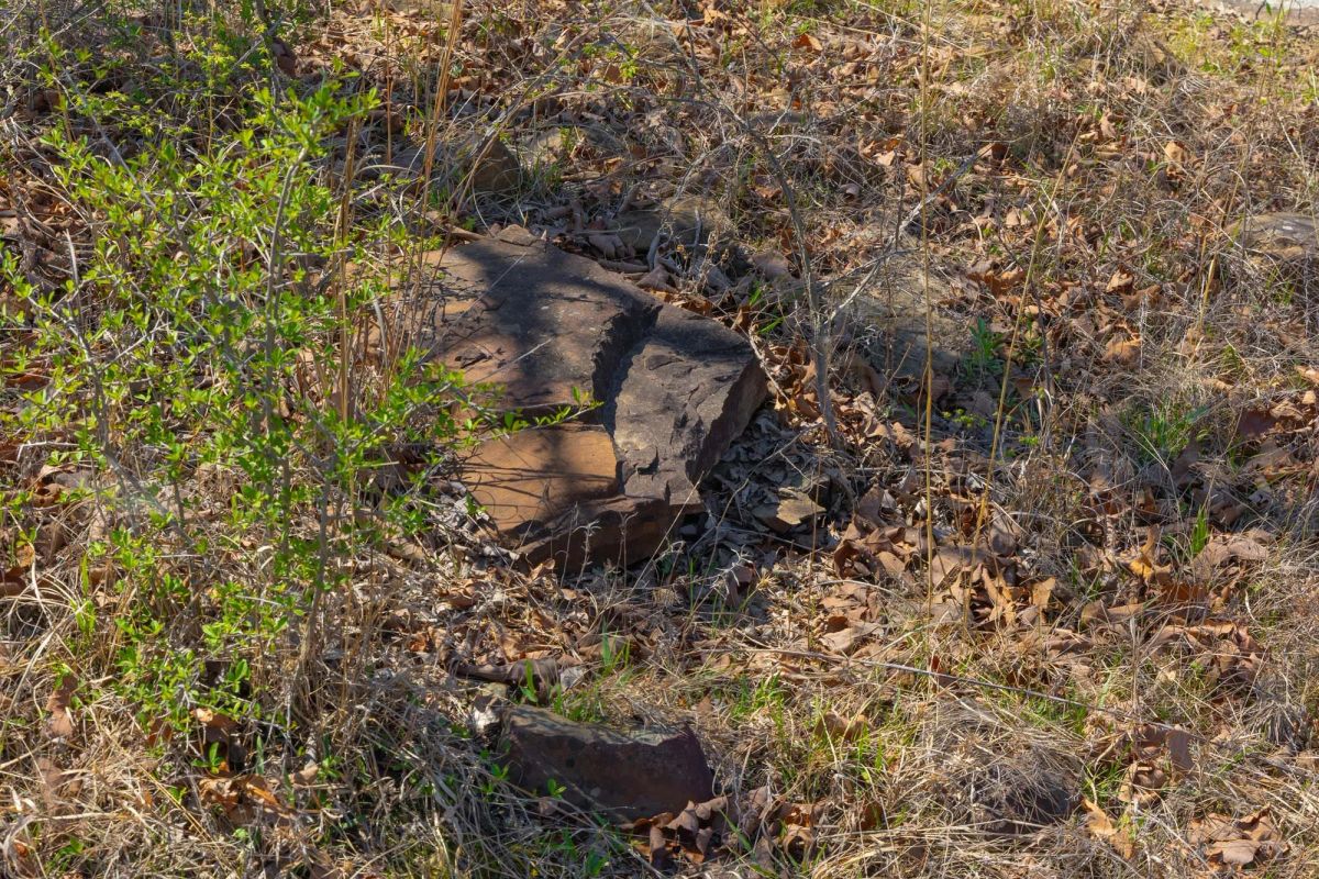 Decorative background for JLH Estates Tract 6 image 8