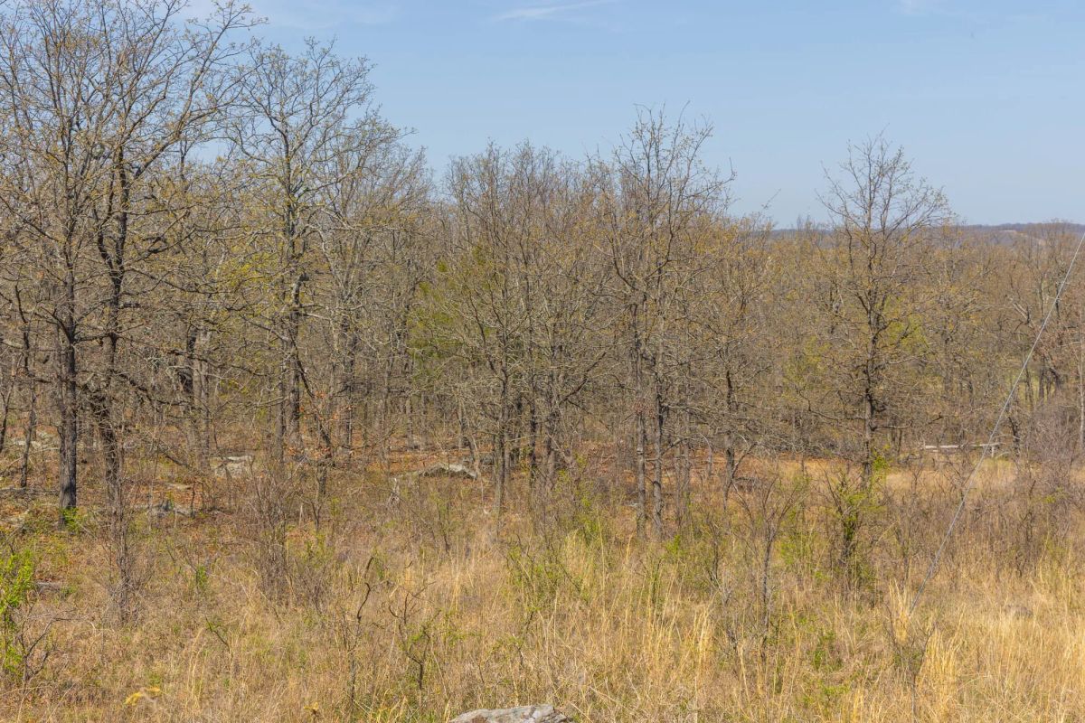 Decorative background for JLH Estates Tract 6 image 11