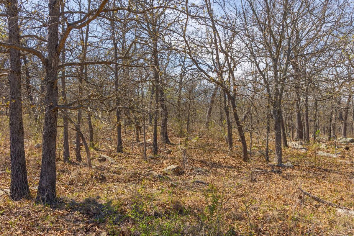 Decorative background for JLH Estates Tract 6 image 13