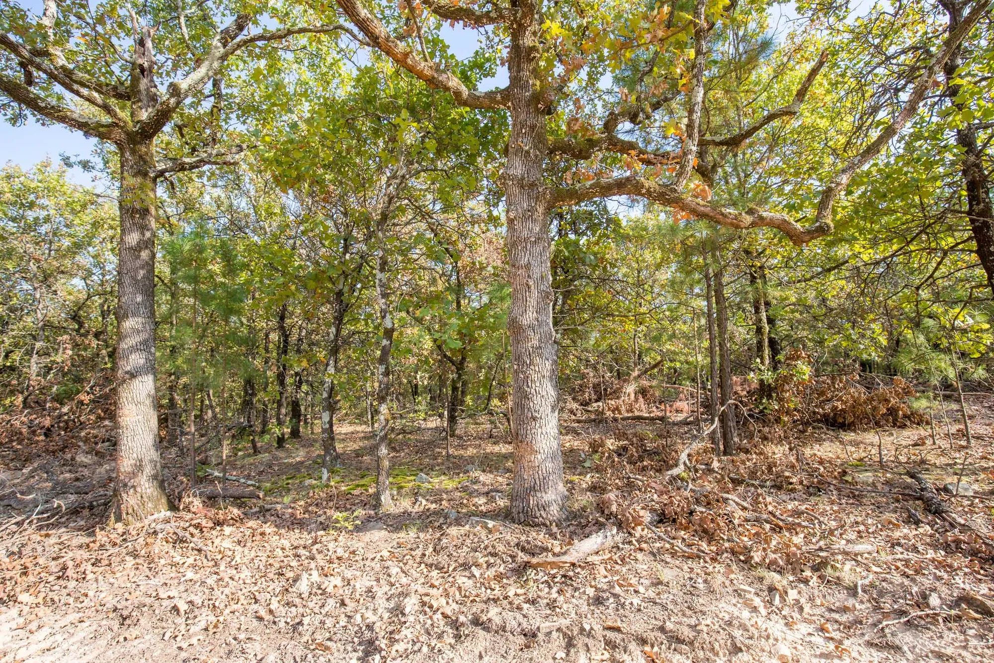 Stone Bridge Phase I Tract 58 in Latimer County, OK