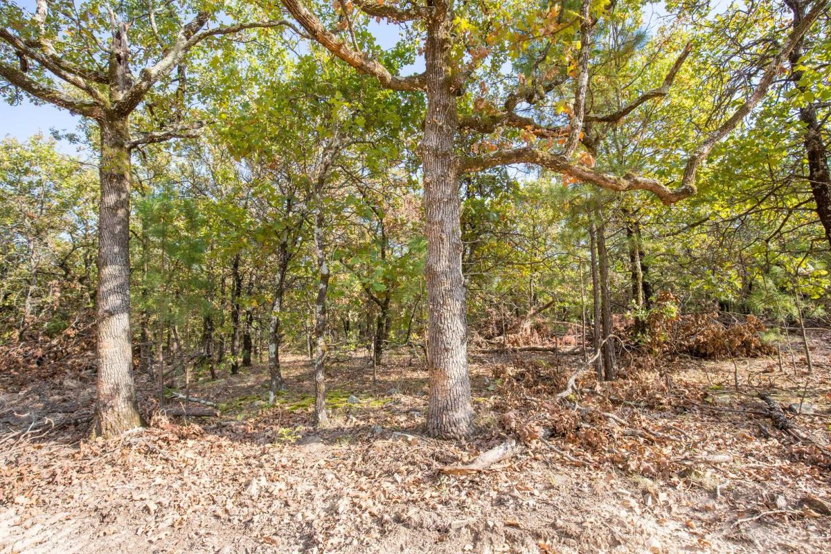 Stone Bridge Phase I Tract 58 - Image 3