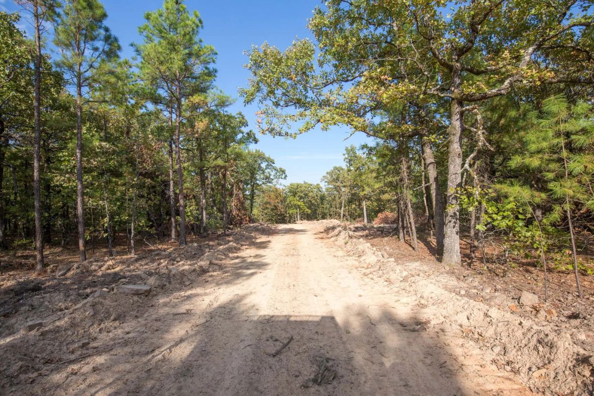 Decorative background for Stone Bridge Phase I Tract 58 image 5