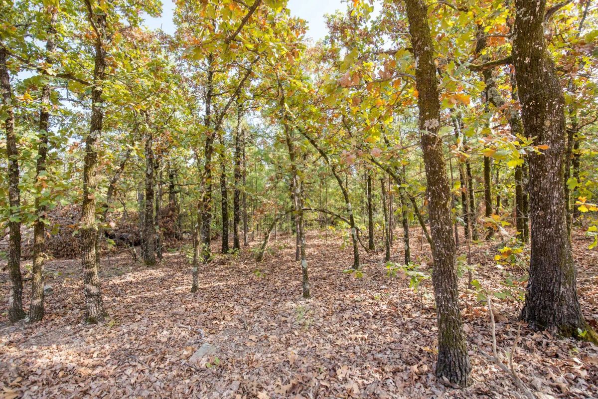 Decorative background for Stone Bridge Phase I Tract 58 image 7