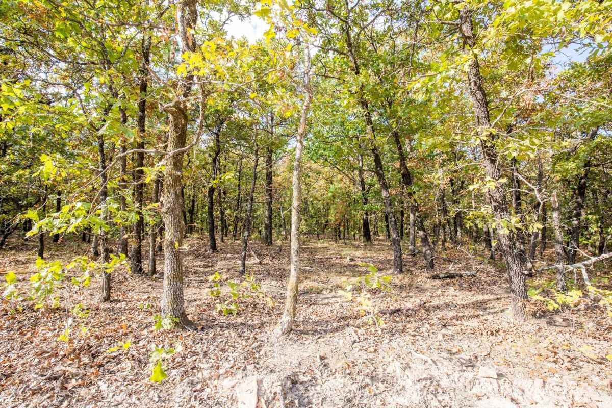 Decorative background for Stone Bridge Phase I Tract 58 image 9