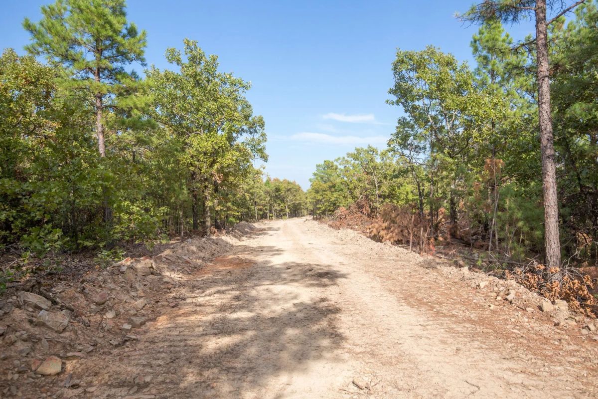Decorative background for Stone Bridge Phase I Tract 58 image 10