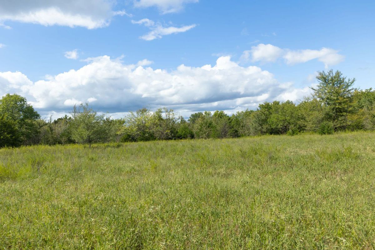 Reserves At Cattail Cove Phase II Tract 91 - Image 4