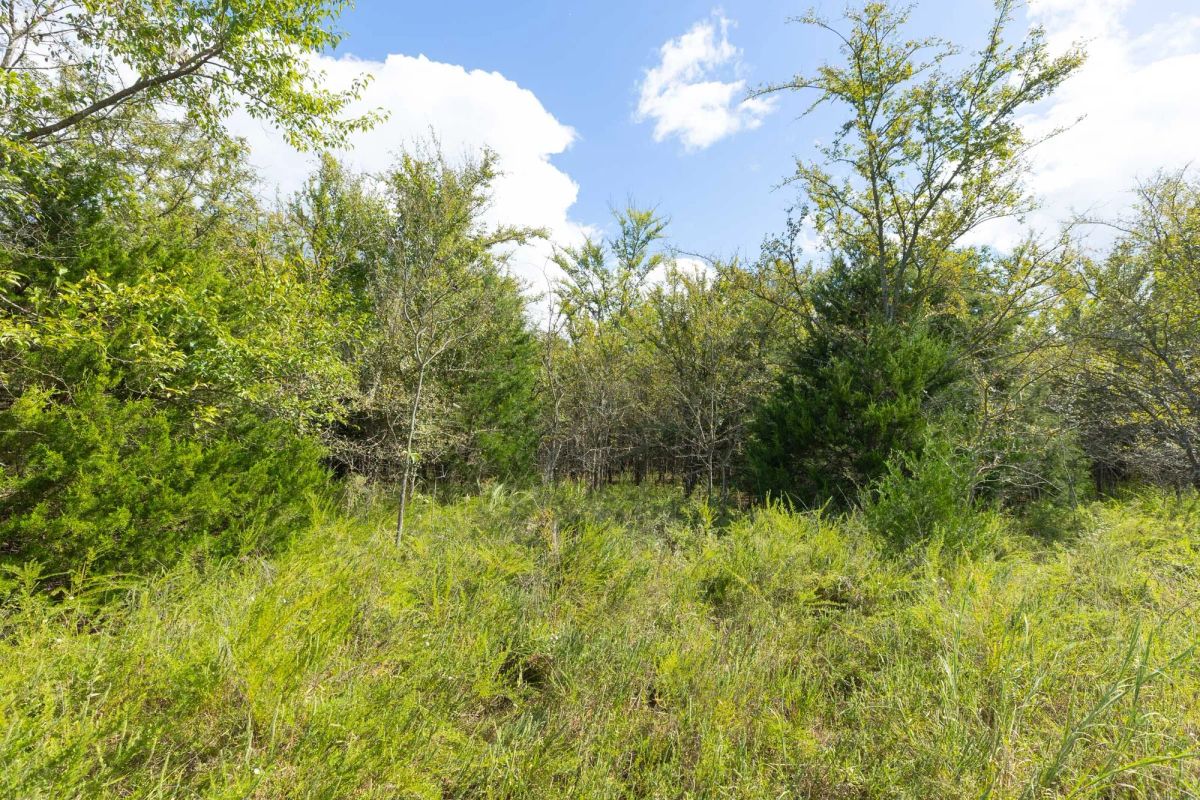 Decorative background for Reserves At Cattail Cove Phase II Tract 91 image 6