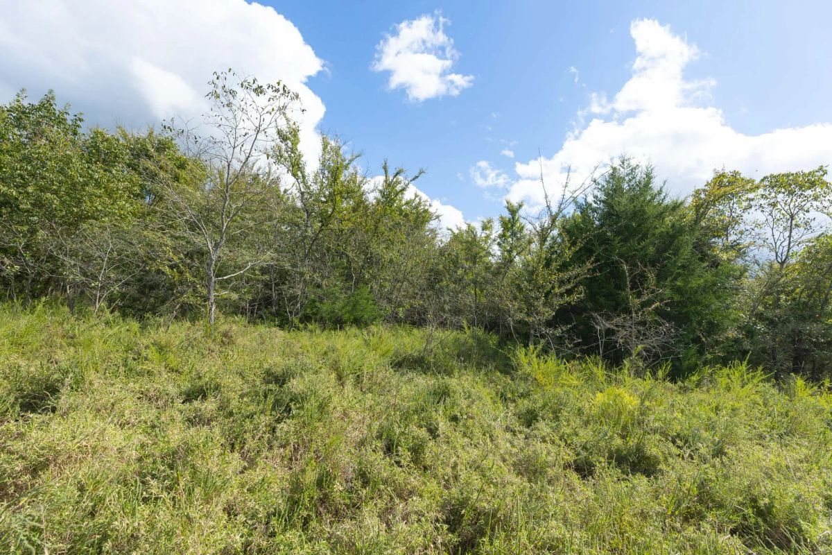 Decorative background for Reserves At Cattail Cove Phase II Tract 91 image 7