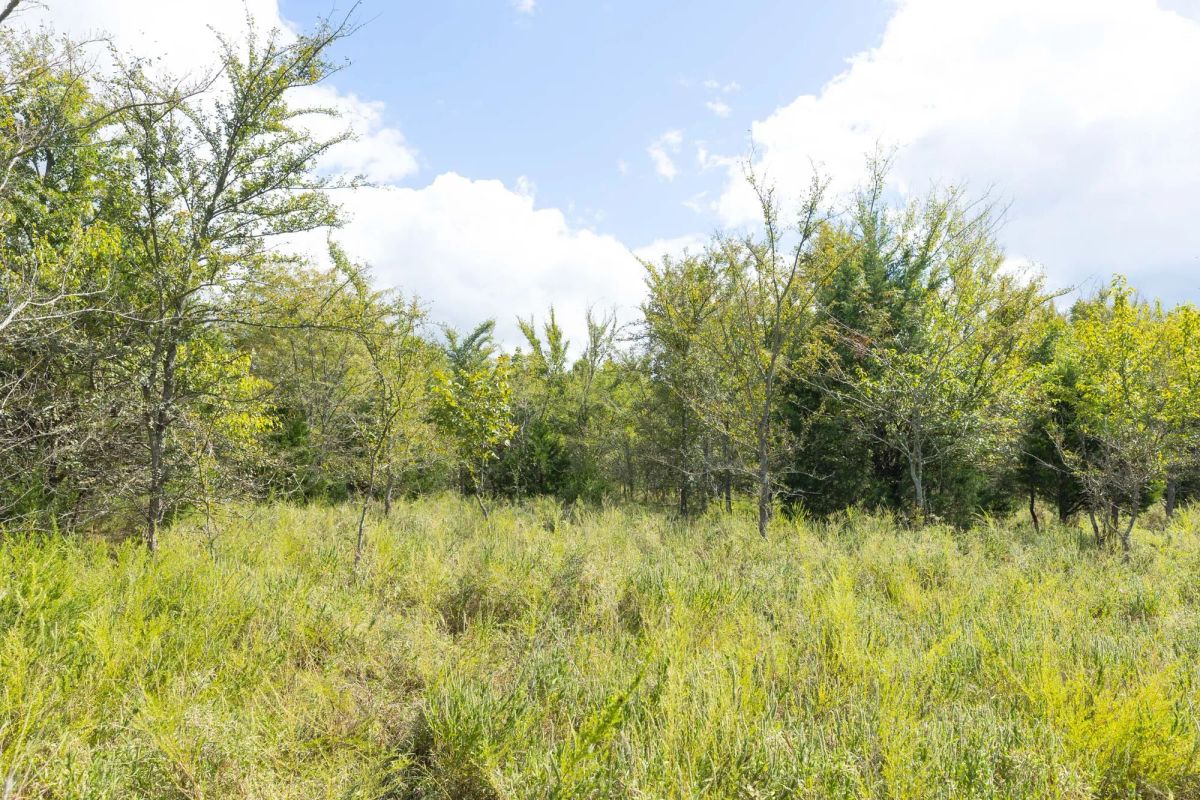 Decorative background for Reserves At Cattail Cove Phase II Tract 91 image 8