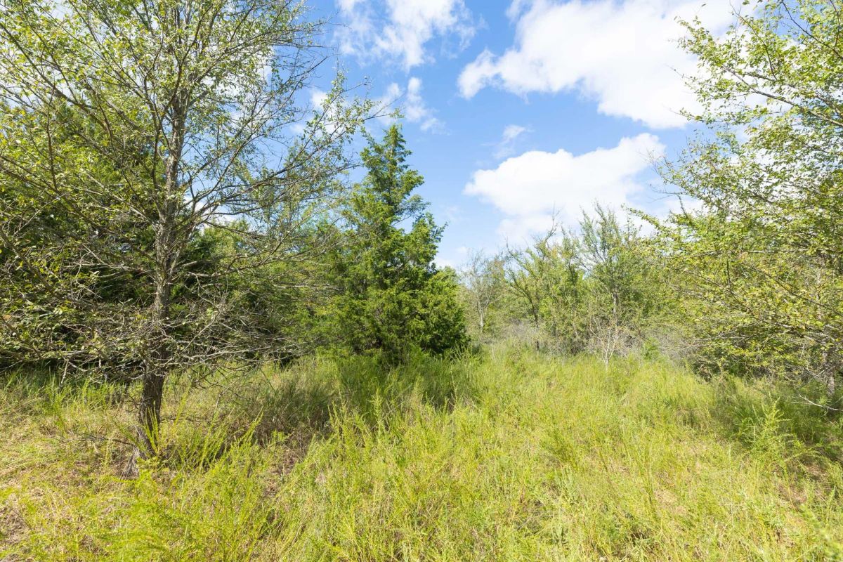 Decorative background for Reserves At Cattail Cove Phase II Tract 91 image 9