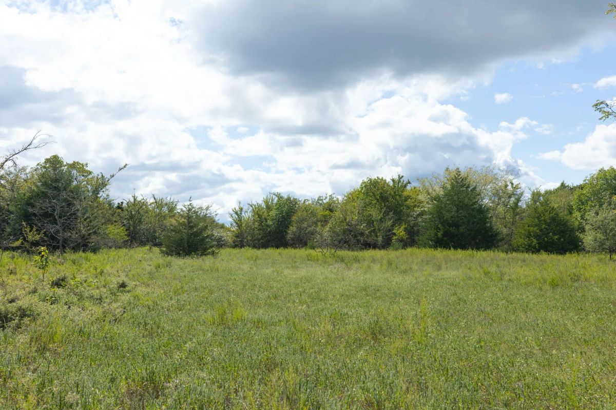 Decorative background for Reserves At Cattail Cove Phase II Tract 91 image 10