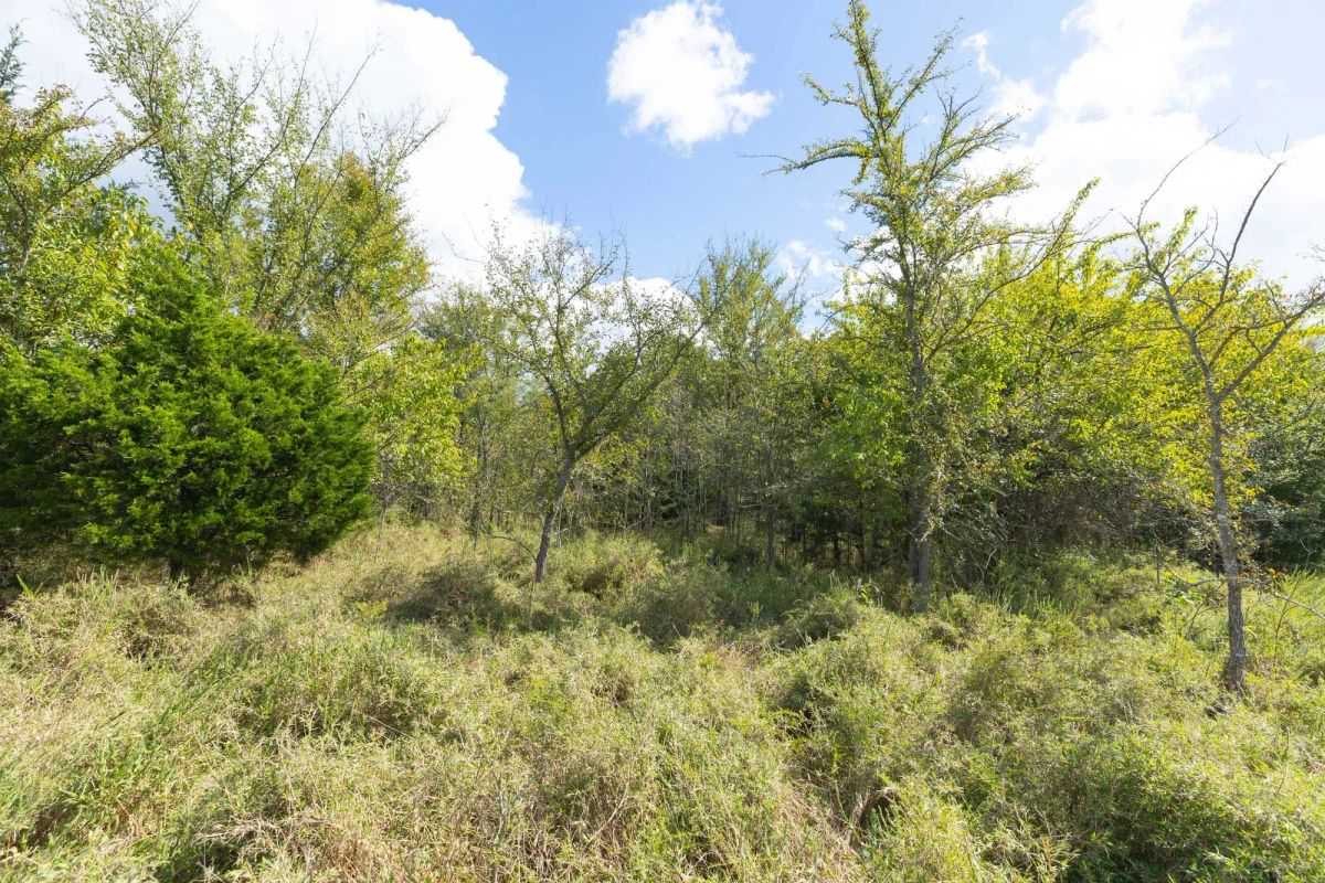 Decorative background for Reserves At Cattail Cove Phase II Tract 91 image 11