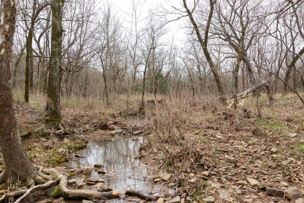 Stone Bridge Phase III Tract 158 - Image 3