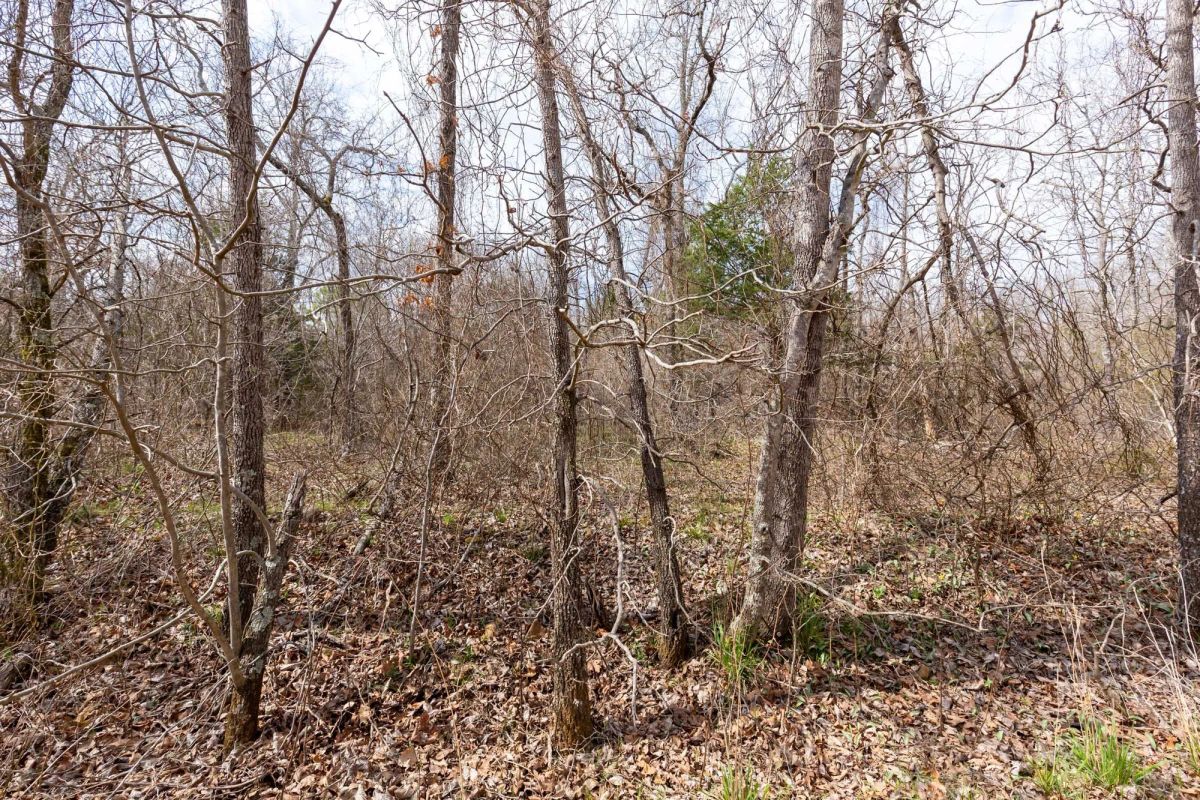 Decorative background for Stone Bridge Phase III Tract 158 image 5