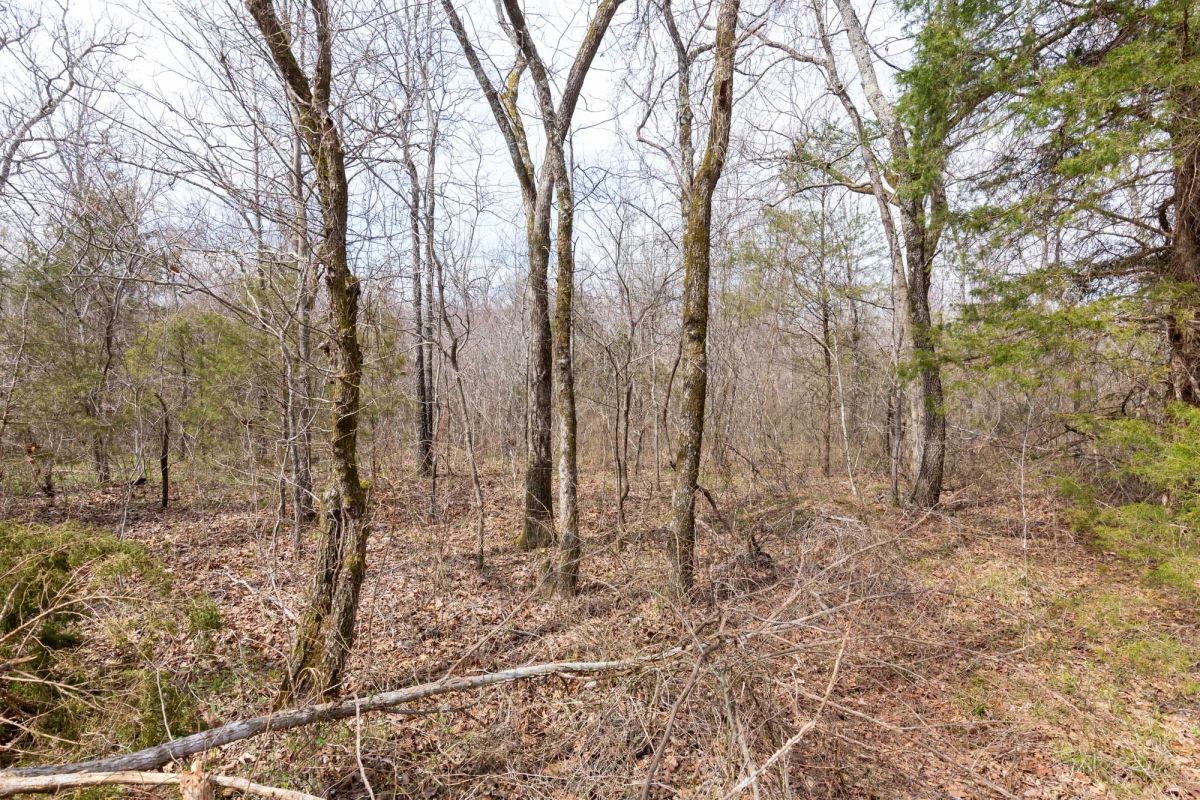 Decorative background for Stone Bridge Phase III Tract 158 image 6