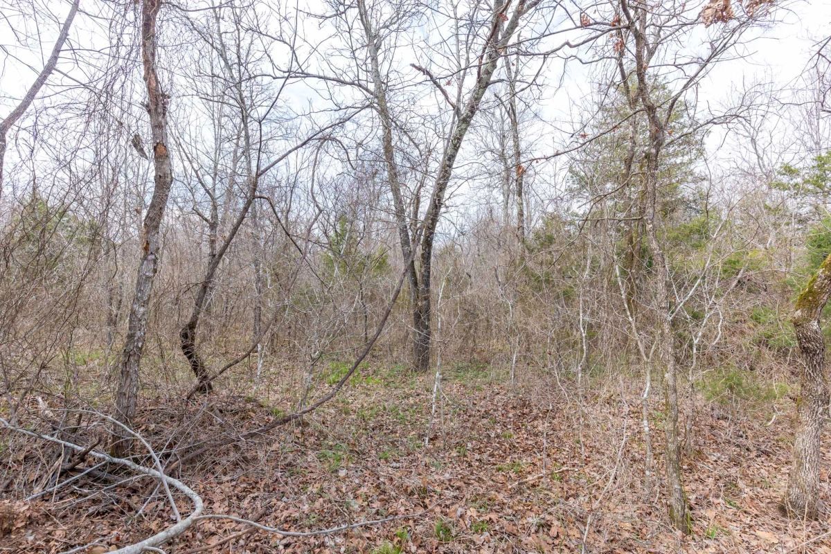 Decorative background for Stone Bridge Phase III Tract 158 image 8
