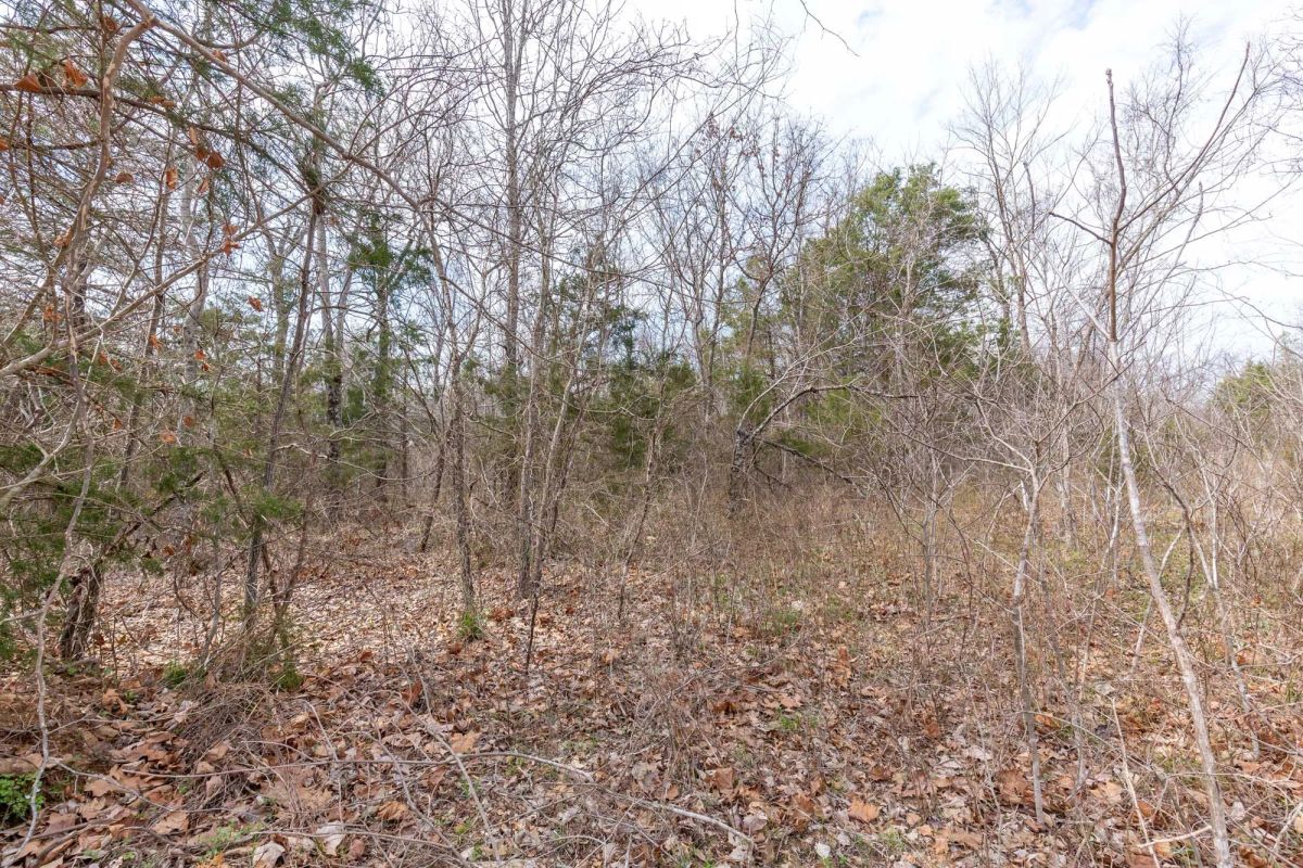Decorative background for Stone Bridge Phase III Tract 158 image 9