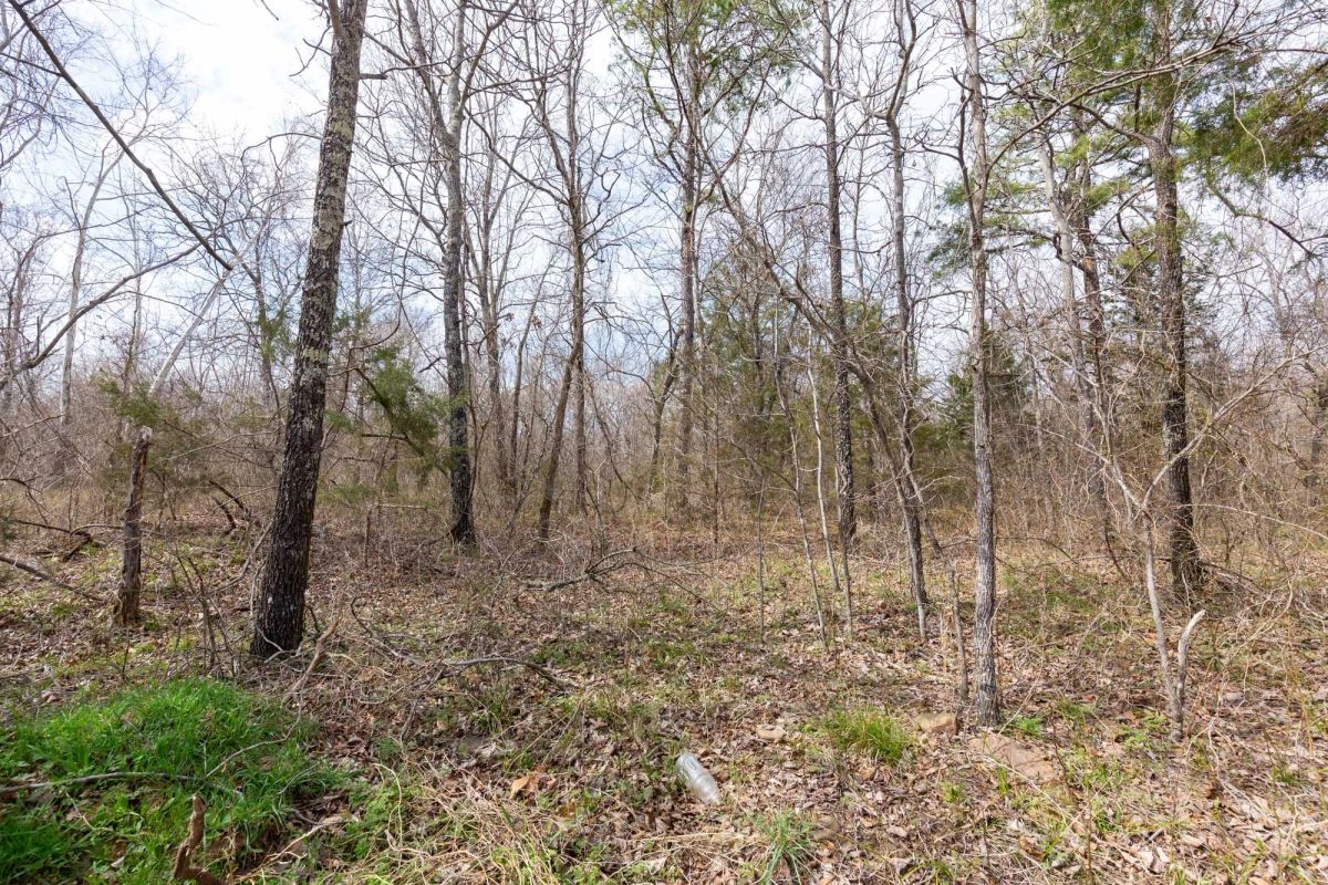 Decorative background for Stone Bridge Phase III Tract 158 image 10