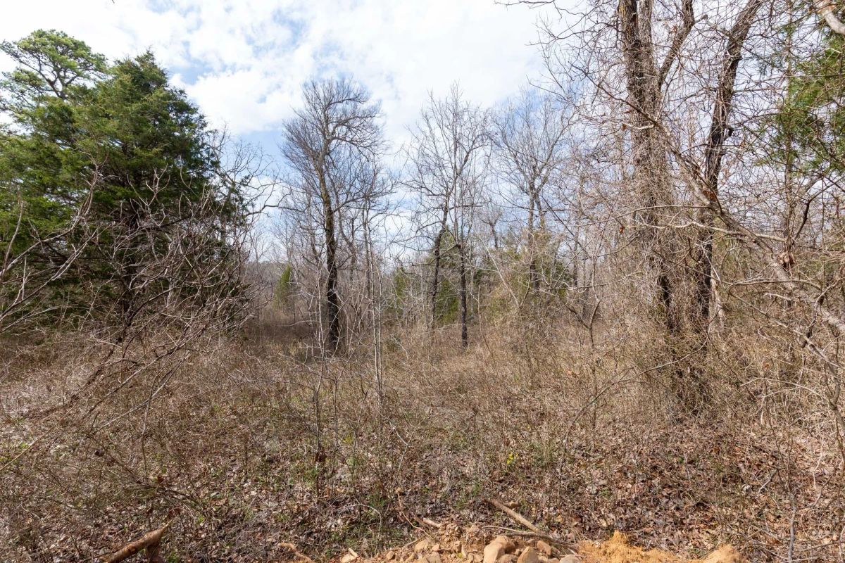 Decorative background for Stone Bridge Phase III Tract 158 image 11