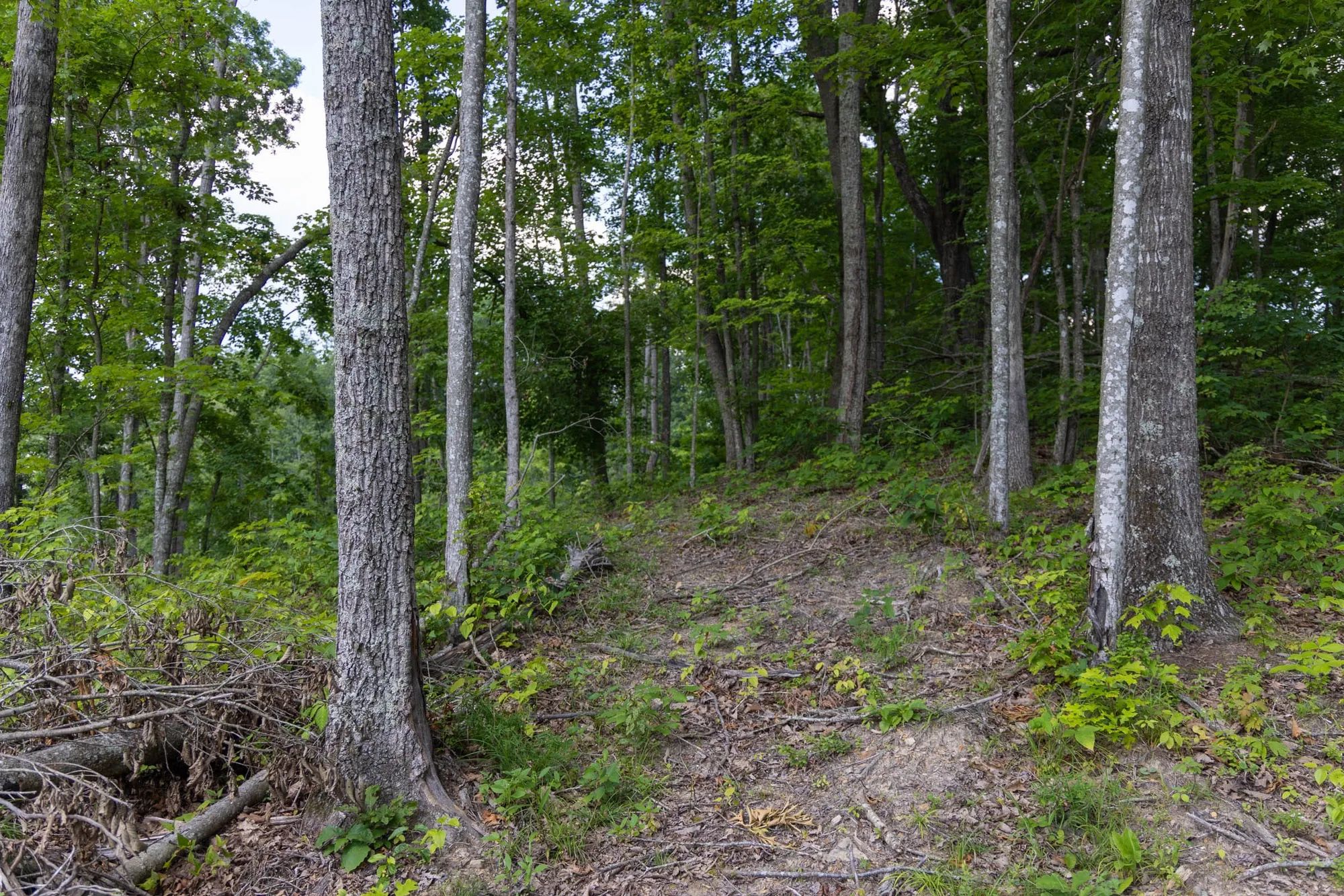 Creek Hollow Phase II Tract 61 in Rockcastle County, KY