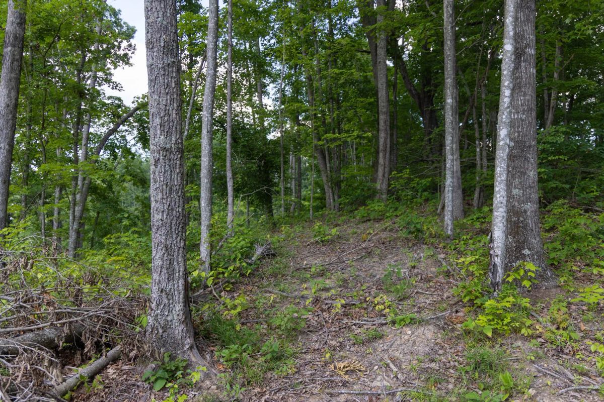 Creek Hollow Phase II Tract 61 - Main image