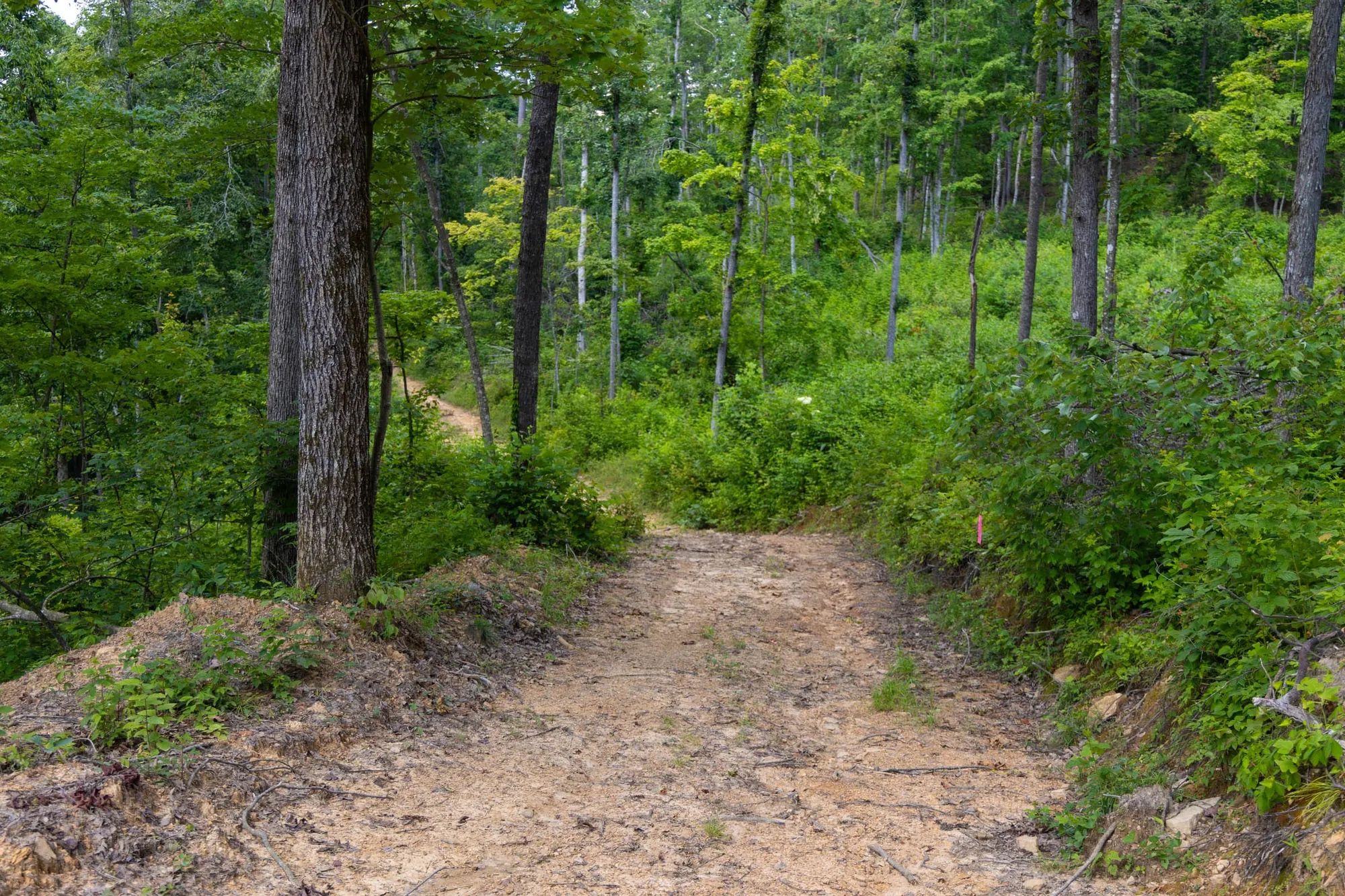 Creek Hollow Phase II Tract 61 in Rockcastle County, KY