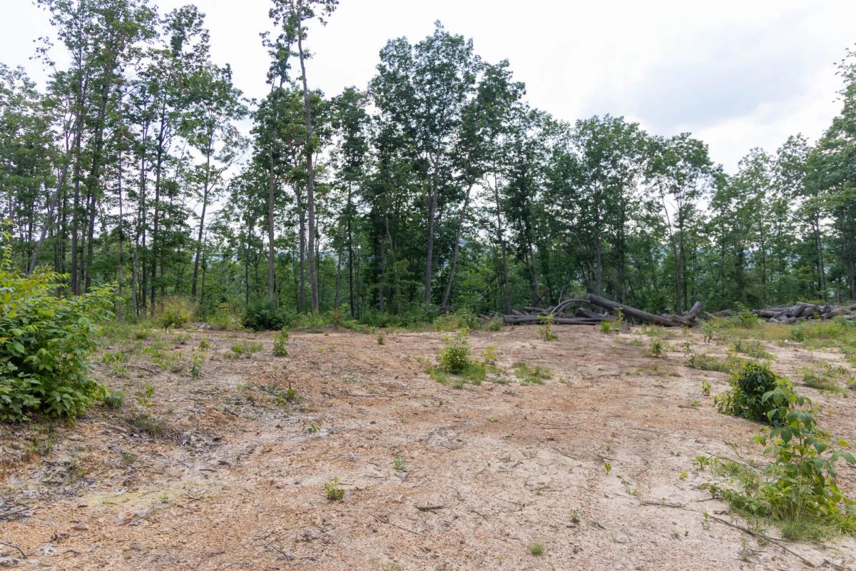 Decorative background for Creek Hollow Phase II Tract 61 image 6