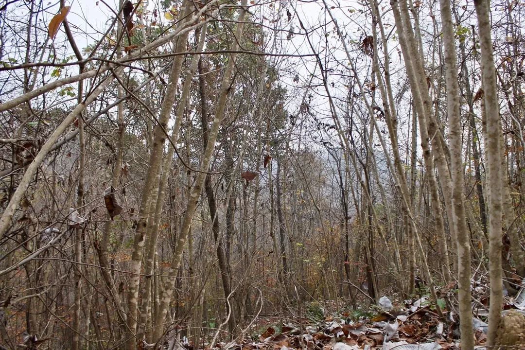 Autumn Ridge Tract 13 - Main image