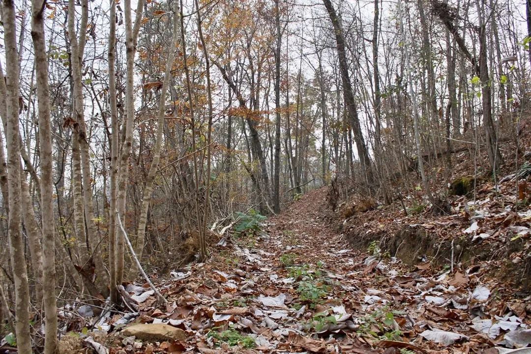 Autumn Ridge Tract 13 in Leslie County, KY