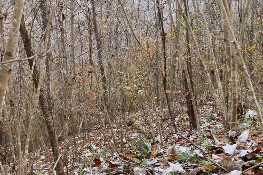 Autumn Ridge Tract 13 in Leslie County, KY
