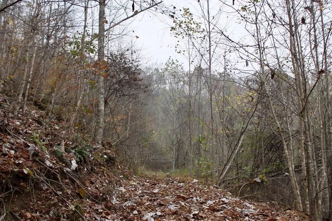 Decorative background for Autumn Ridge Tract 13 image 20