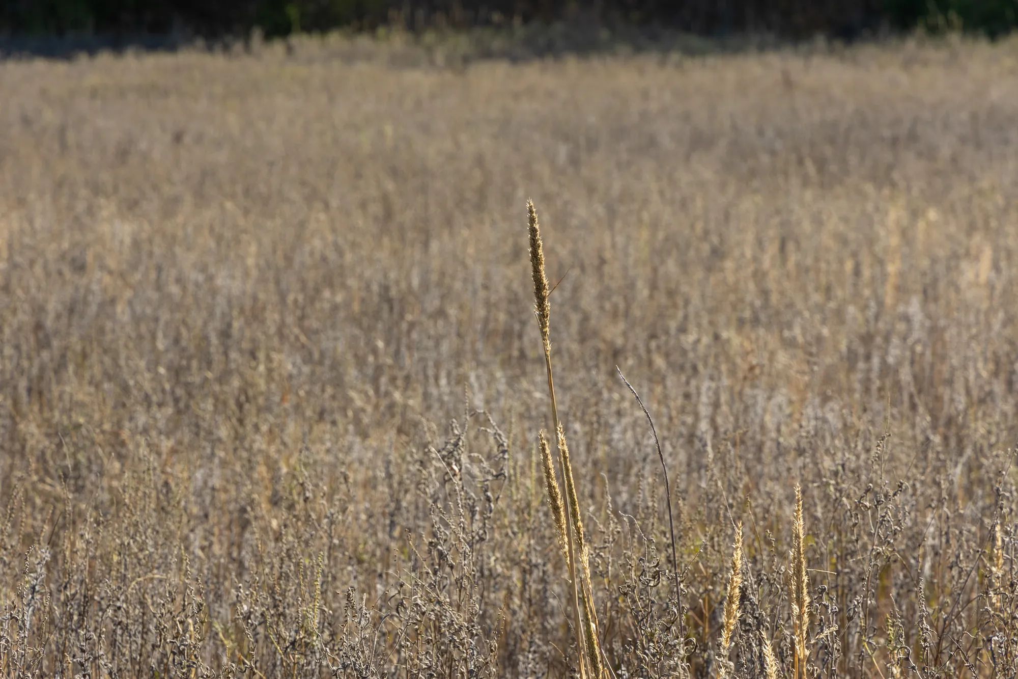 Harmony Hills Tract 44 in Pittsburg County, OK