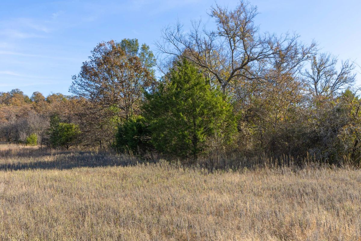 Decorative background for Harmony Hills Tract 44 image 5