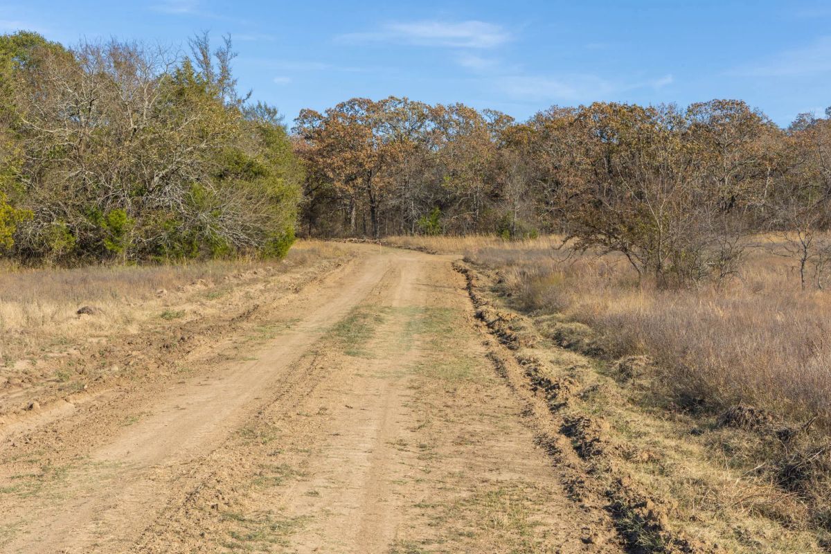 Decorative background for Harmony Hills Tract 44 image 8