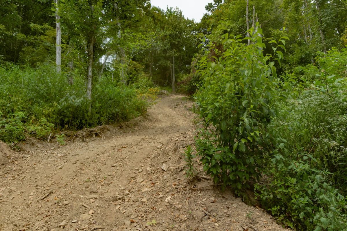 Big White Oak Tract 134 - Main image