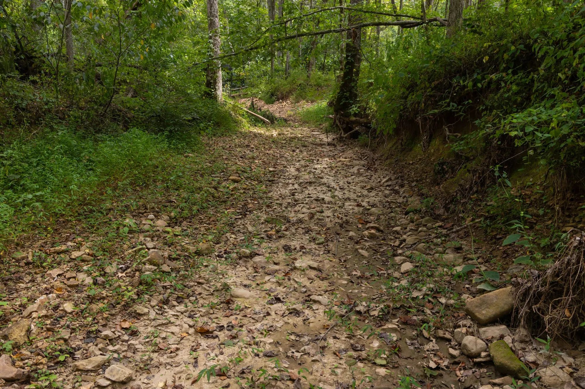 Big White Oak Tract 134 in Perry County, TN