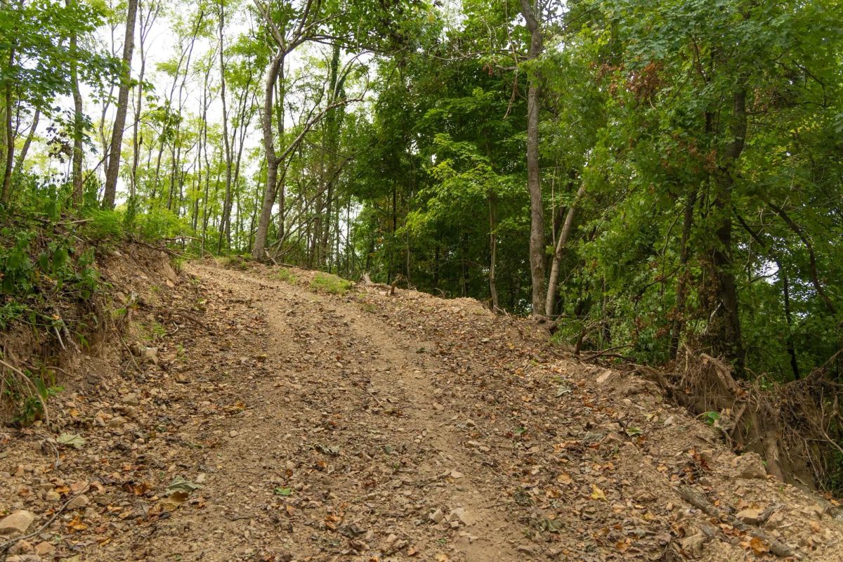 Decorative background for Big White Oak Tract 134 image 18