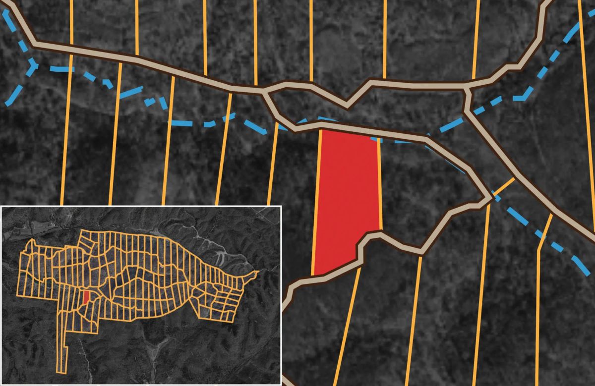 Decorative background for Big White Oak Tract 134 image 19