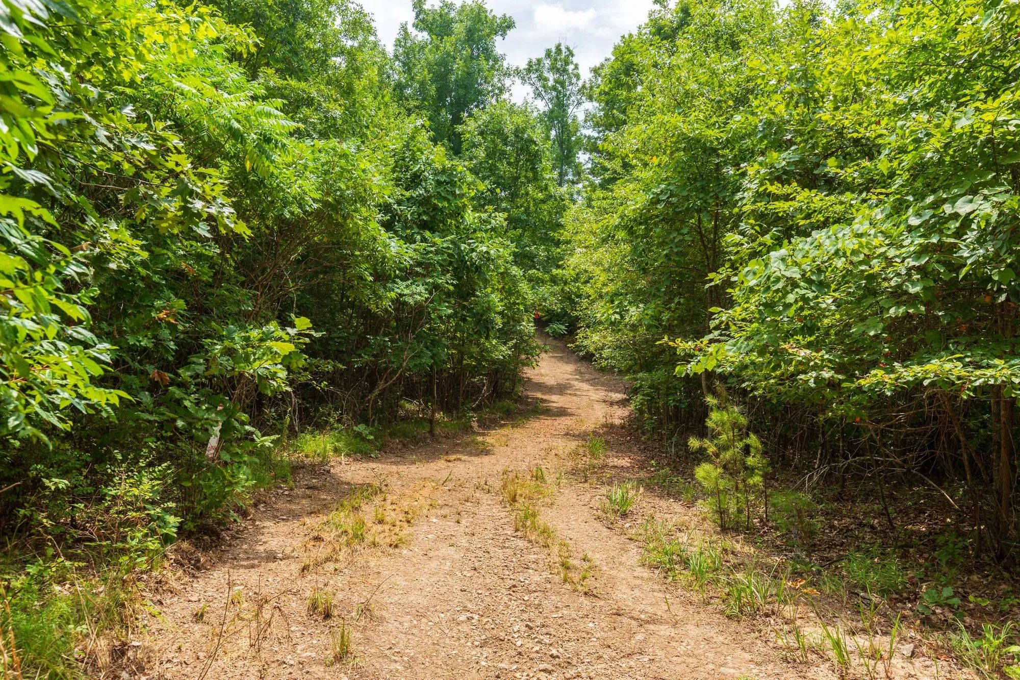 Cypress Ridge Tract 22 in Reynolds County, MO