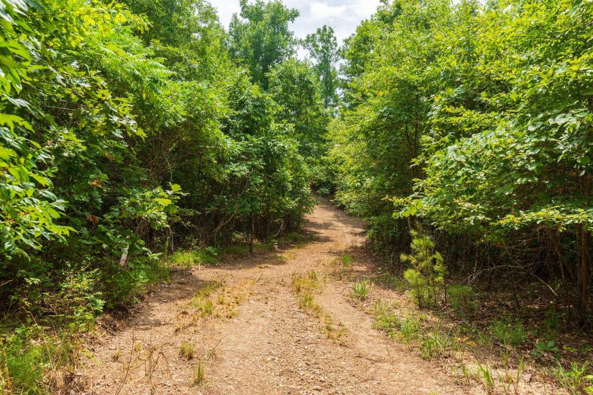 Cypress Ridge Tract 22 - Main image