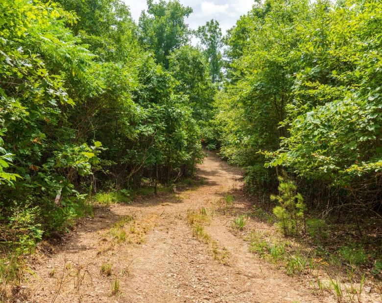 Cypress Ridge Tract 22 in Reynolds County, MO