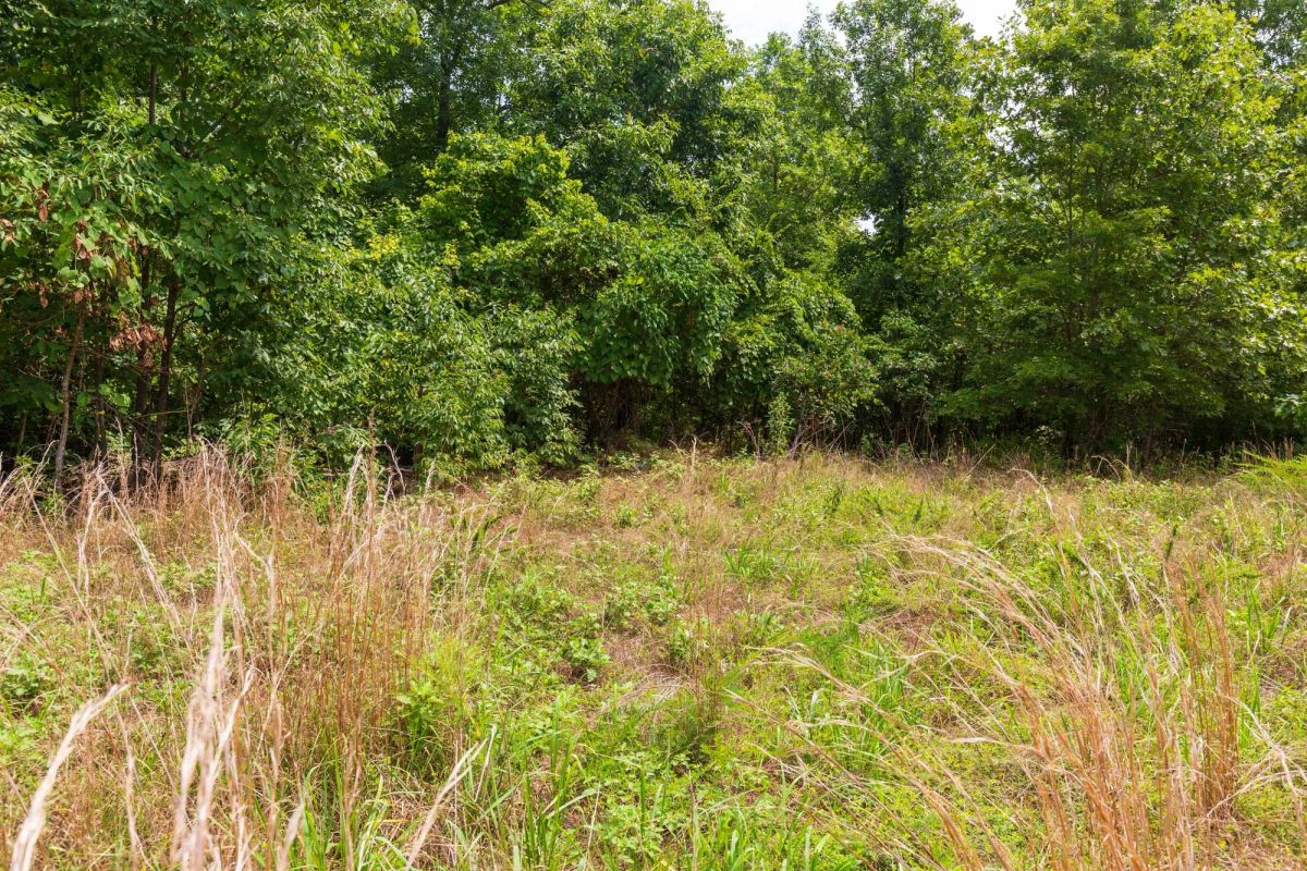 Cypress Ridge Tract 22 - Image 2