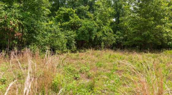 Cypress Ridge Tract 22 in Reynolds County, MO